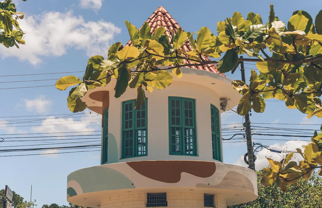 Selina Floripa-1